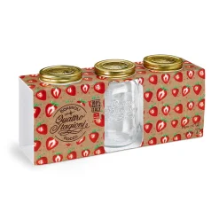 Bocal à stériliser 1 L x 3