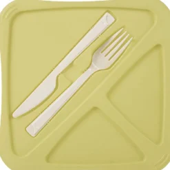 Boîte lunch bleu ou vert