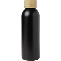 Bouteille isotherme inox double paroi 50cl Ø7,3xH23,5cm