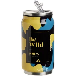 Canette isotherme acier et plastique vert 260ml Ø6,5xH13,5cm