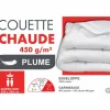 Couette chaude 240x260 cm en plumes 450 g/m²
