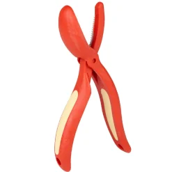 Coupe chataignes rouge et jaune