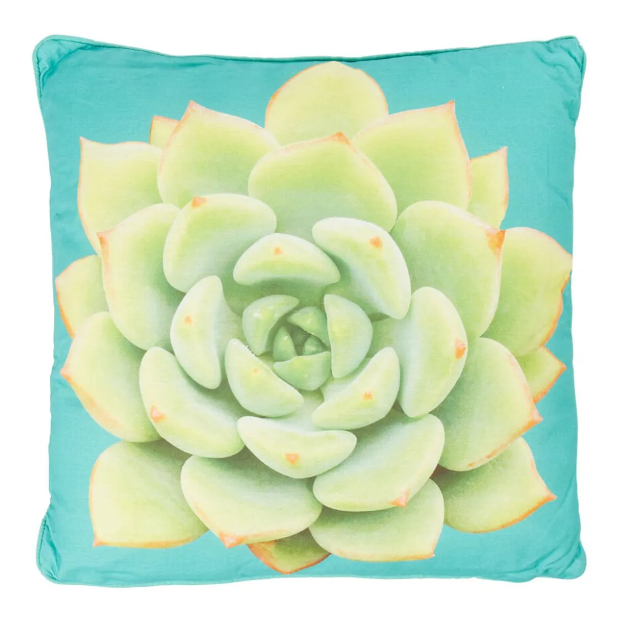 Coussin carré bleu motif fleur de cactus verte