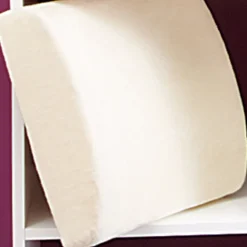 Coussin de dos mémoire de forme