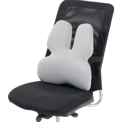 Coussin lombaire à mémoire de forme 42x12x45cm