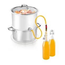 Extracteur de jus de fruits et légumes à la vapeur