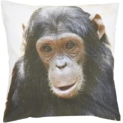 Housse de coussin imprimé