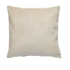 Housse de coussin velours motif pinsonic beige