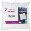 Oreiller en coton naturel garnissage plumes de canard 60x60cm