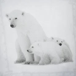 Parure de lit blanche imprimée ours blancs 220x240 cm