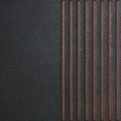 Plancha 2 zones de cuisson