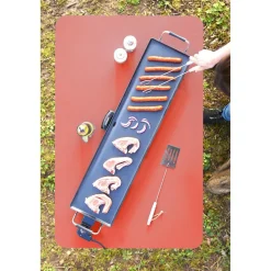 Plancha électrique Homday