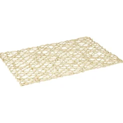 Set de table design filaire beige 45x30 cm