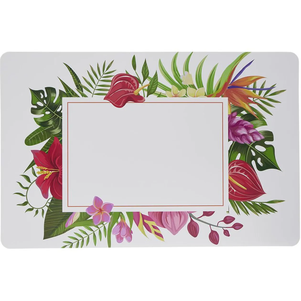 Set de table imprimé x4