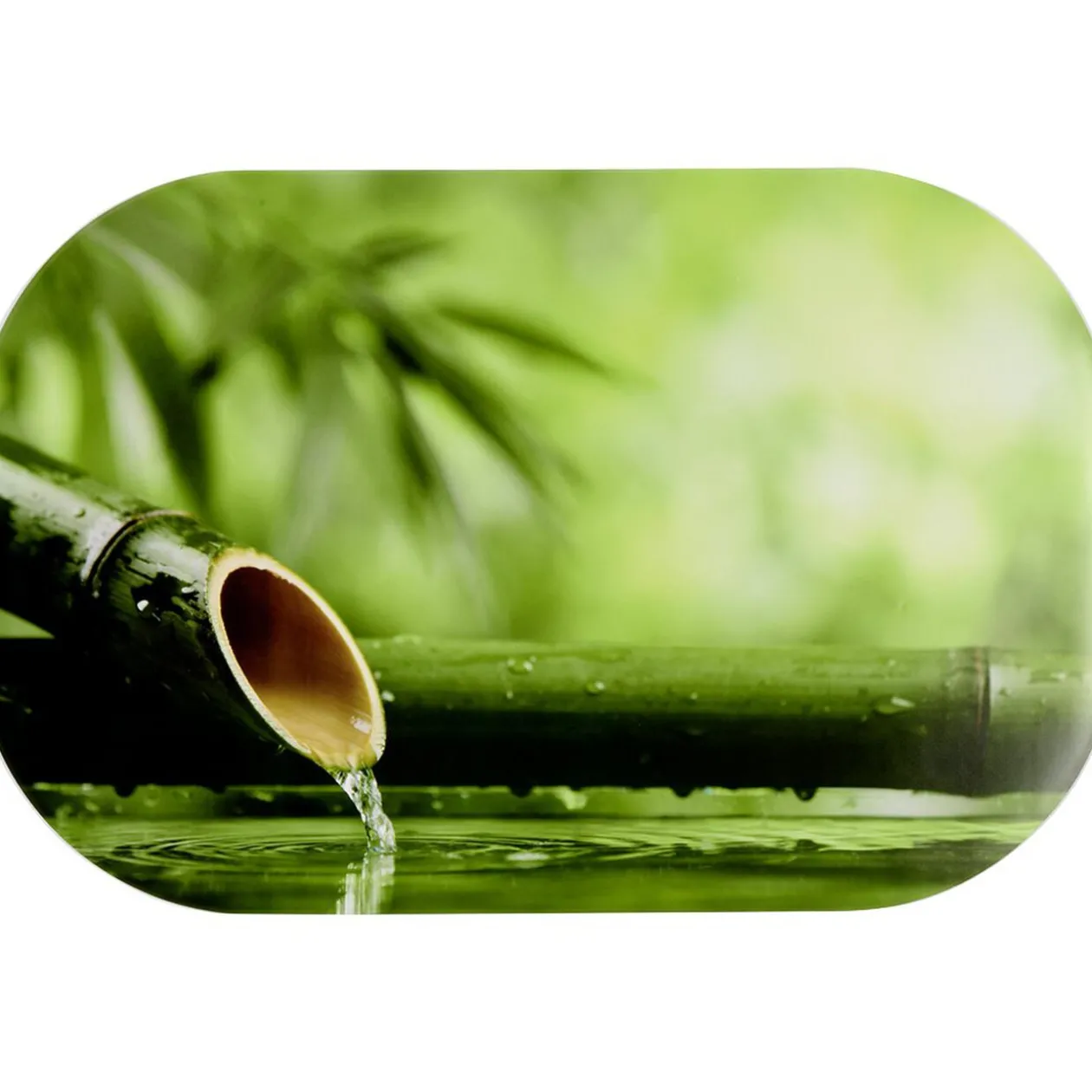 Set de table rectangulaire vynile imprimé eau tige de bambou