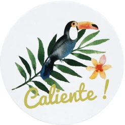 Sous verre design tropical x6