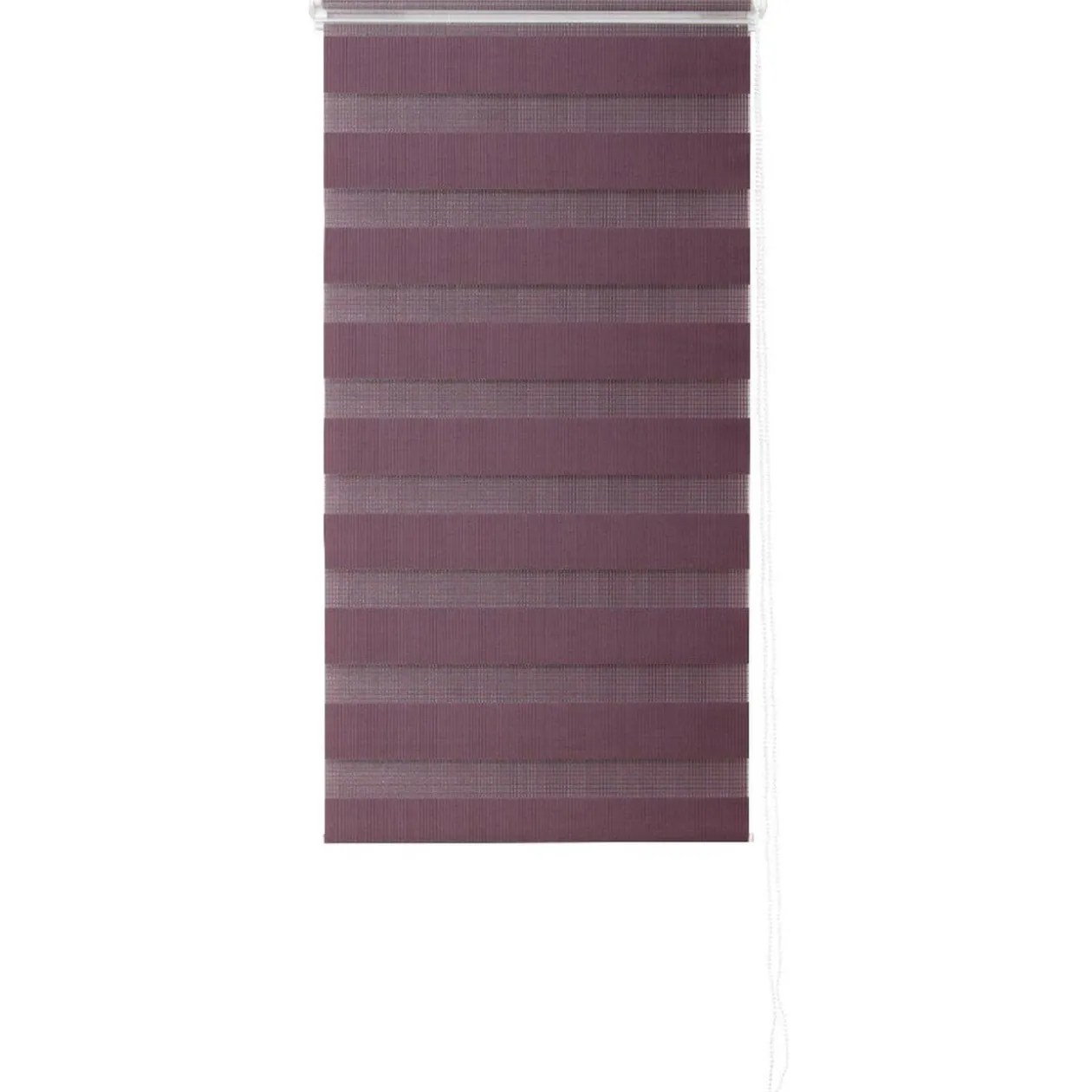 Store enrouleur jour nuit violet