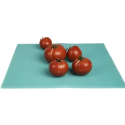 Tapis fraîcheur éponge