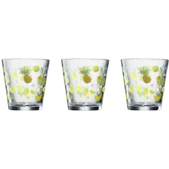 Verre conique bas motif exotique 25,5 cl x3